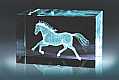 Horse-Galloping-1
