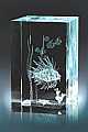 Tropical Lion Fish
