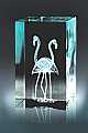 Two Flamingoes