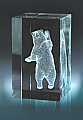 Bear Brown
