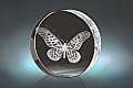 Butterfly Antimachus